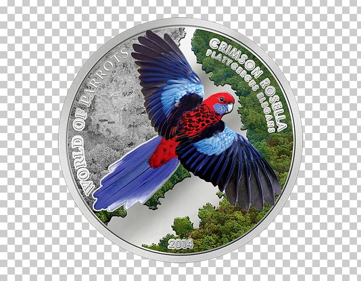 Armed Spiders Silver Coin Crimson Rosella Gold PNG, Clipart, Armed Spiders, Beak, Bird, Coin Flying, Crimson Rosella Free PNG Download