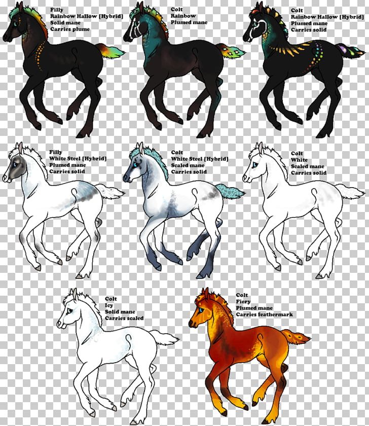 Mustang Foal Stallion Colt Pony PNG, Clipart, Breeders, Canidae, Carnivoran, Colt, Dog Free PNG Download