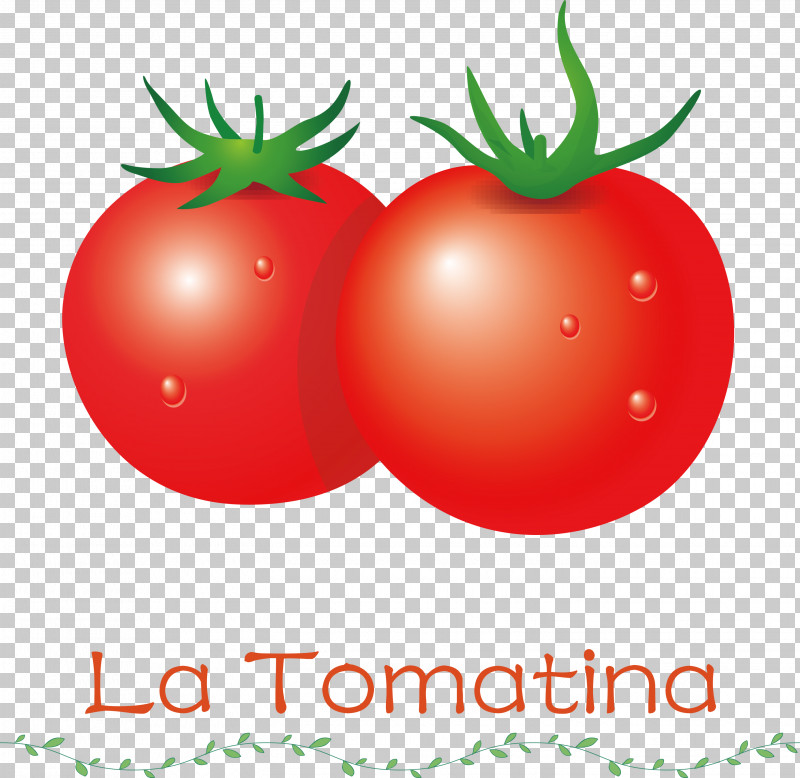 La Tomatina Tomato Throwing Festival PNG, Clipart, Bush Tomato, Clementine, Datterino Tomato, Fruit, Grapefruit Free PNG Download