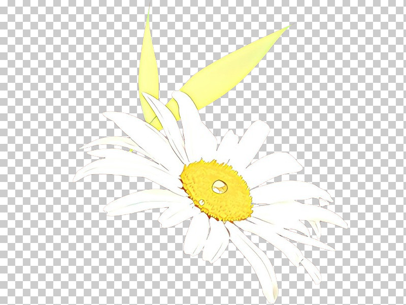 Sunflower PNG, Clipart, Camomile, Feather, Flower, Plant, Sunflower Free PNG Download