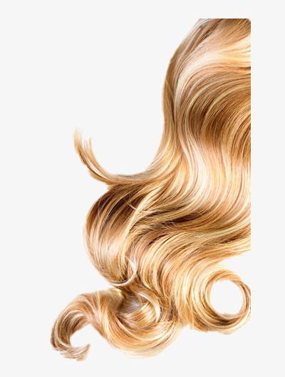 Hair PNG, Clipart, Beauty, Beauty Beauty, Hair, Hair Clipart, Hairdressing Free PNG Download