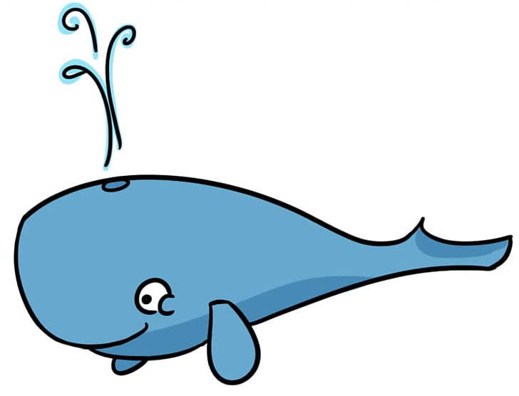 Sperm Whale Blue Whale Free Content PNG, Clipart, Artwork, Beak, Black And White, Blog, Blue Whale Free PNG Download