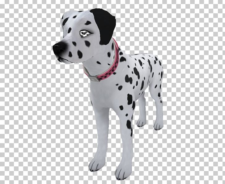 Dalmatian Dog Puppy Dog Breed Companion Dog Non-sporting Group PNG, Clipart, Animals, Breed, Carnivoran, Companion Dog, Dalmatian Free PNG Download