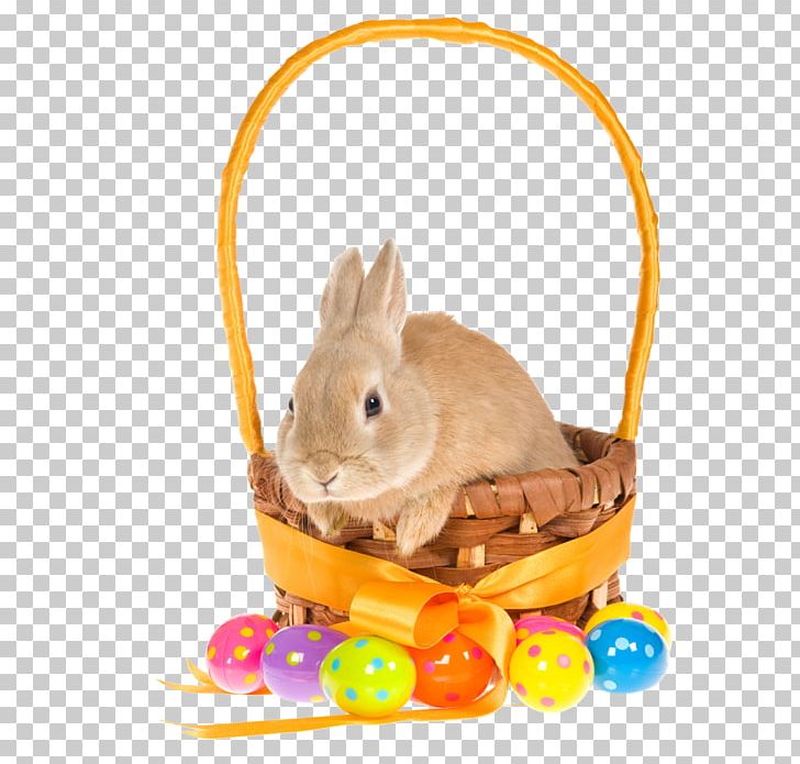 Easter Bunny Basket Rabbit PNG, Clipart, Basket, Blog, Bunny, Domestic Rabbit, Easter Free PNG Download