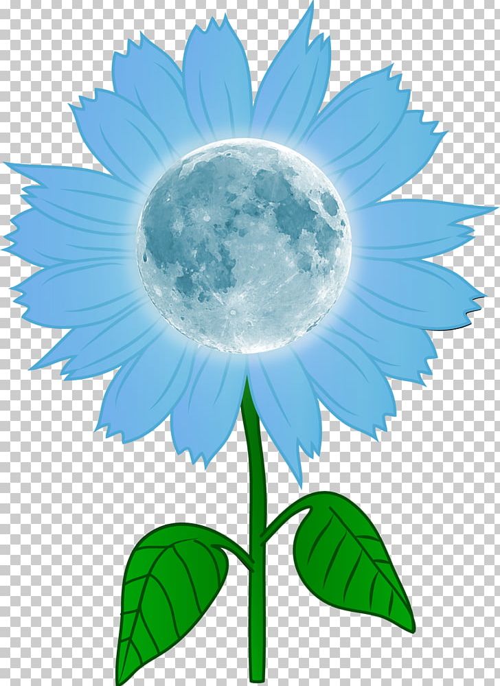 Common Sunflower Graphics PNG, Clipart, Art, Blue, Common Sunflower, Computer Wallpaper, Daisy Free PNG Download