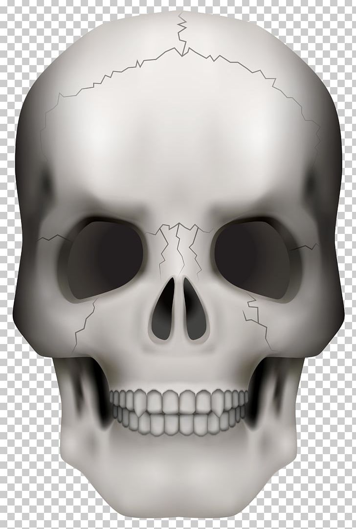 Skull Skeleton PNG, Clipart, Bone, Drawing, Face, Head, Jaw Free PNG Download