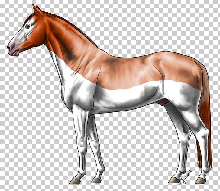 Arabian Horse Foal Mustang Pony Stallion PNG, Clipart, Arabian Horse, Australian Stock Horse, Bay, Bit, Bridle Free PNG Download