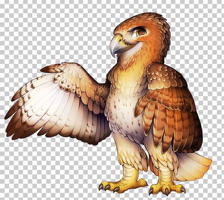 Eagle Red-tailed Hawk El Halcon De Cola Roja Furry Fandom PNG, Clipart, Animals, Beak, Bearded Vulture, Bird, Bird Of Prey Free PNG Download