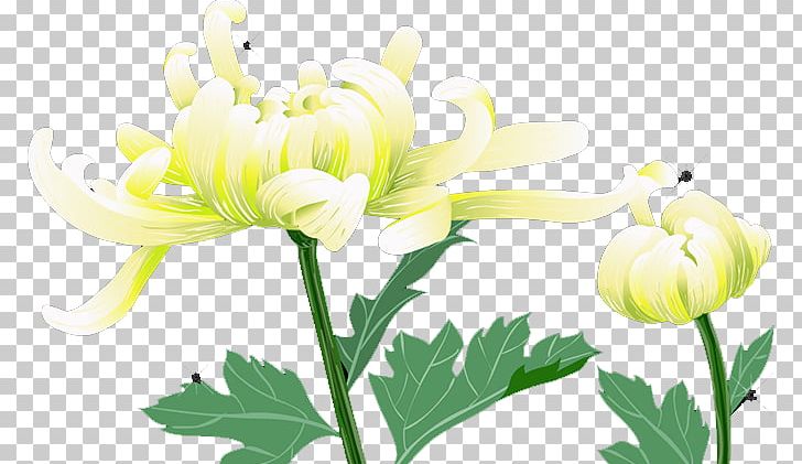 Floral Design Cut Flowers Chrysanthemum Yellow Plant Stem PNG, Clipart, Beautiful, Chrysanthemum Chrysanthemum, Chrysanthemums, Chrysanthemum Tea, Chrysanths Free PNG Download