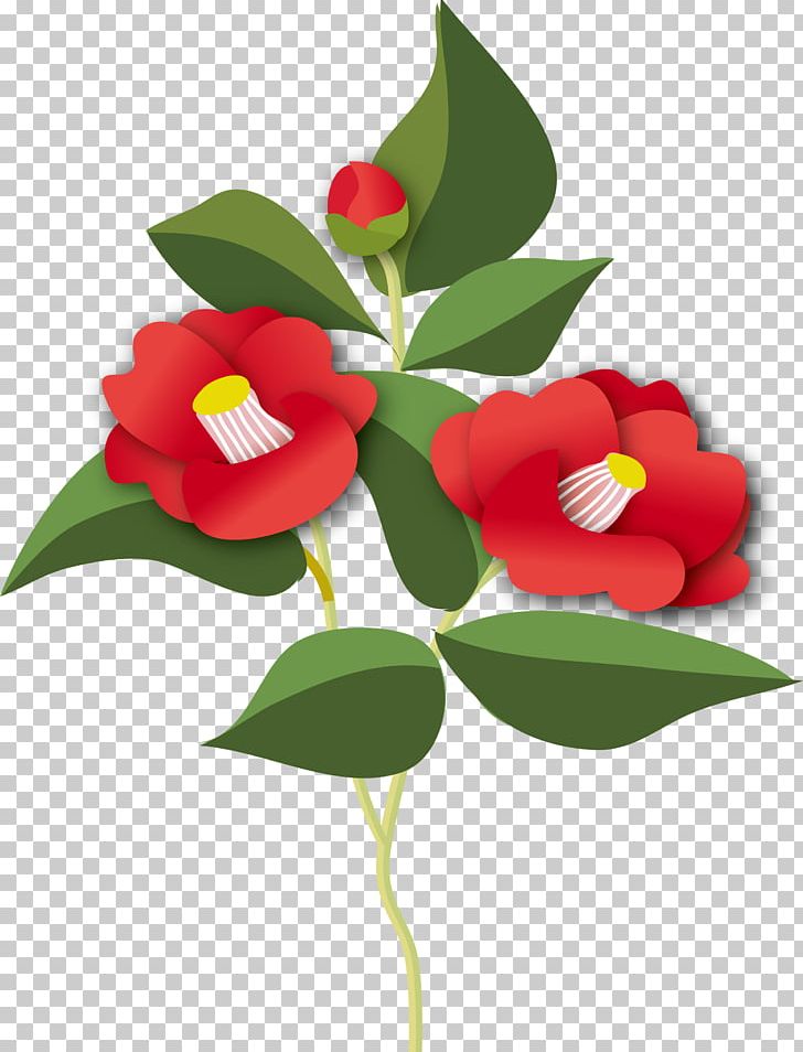 Japanese Camellia Plant Stem PNG, Clipart, Camellia, Flower, Flowering Plant, Japanese Camellia, Others Free PNG Download