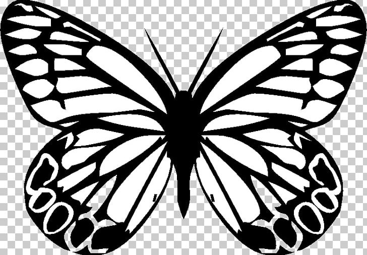 Monarch Butterfly Insect Silhouette Drawing PNG, Clipart, Animal, Arthropod, Black And White, Brush Footed Butterfly, Butterflies And Moths Free PNG Download