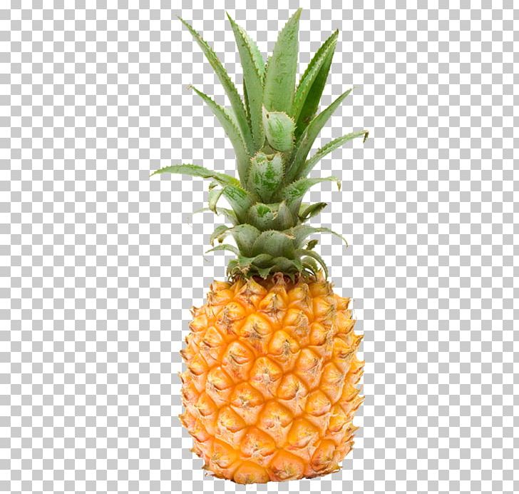 Pineapple Fruit Photography PNG, Clipart, Ananas, Apple Fruit, Bromeliaceae, Decoration, Download Free PNG Download