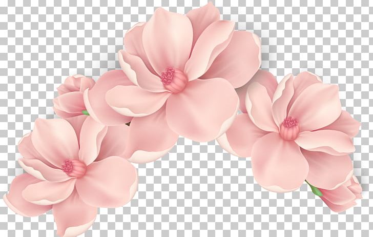 Pink Flowers Rose PNG, Clipart, Blossom, Cherry Blossom, Crown, Cute Kawaii, Cut Flowers Free PNG Download