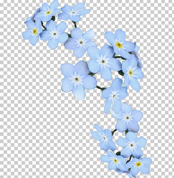 Scorpion Grasses Blue Artificial Flower Blume PNG, Clipart, Artificial Flower, Blossom, Blue, Blume, Borage Family Free PNG Download