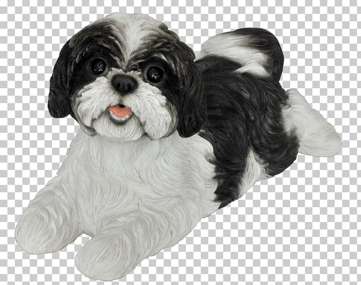 Shih Tzu Havanese Dog Cavalier King Charles Spaniel Puppy Cavapoo PNG, Clipart, Animal, Animals, Black White, Bolonka, Canidae Free PNG Download