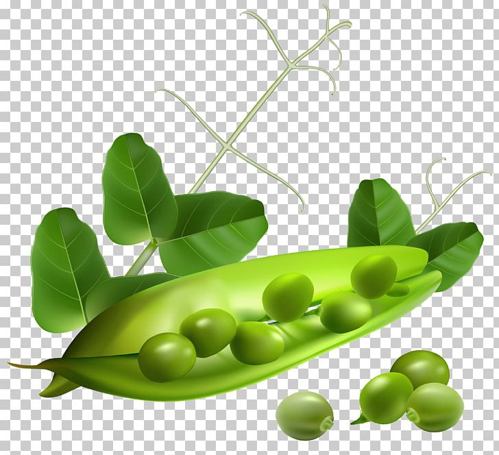 Snap Pea PNG, Clipart, Alternative Medicine, A Pea In The Pod, Clipart, Clip Art, Computer Icons Free PNG Download