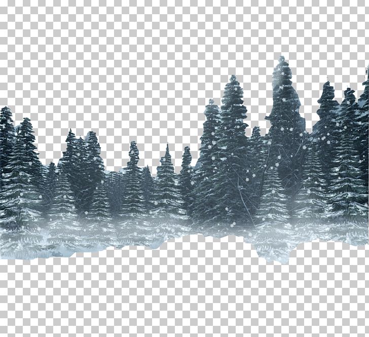 Snow Forest Winter PNG, Clipart, Black Forest, Computer Wallpaper, Encapsulated Postscript, Euclidean Vector, Fog Free PNG Download