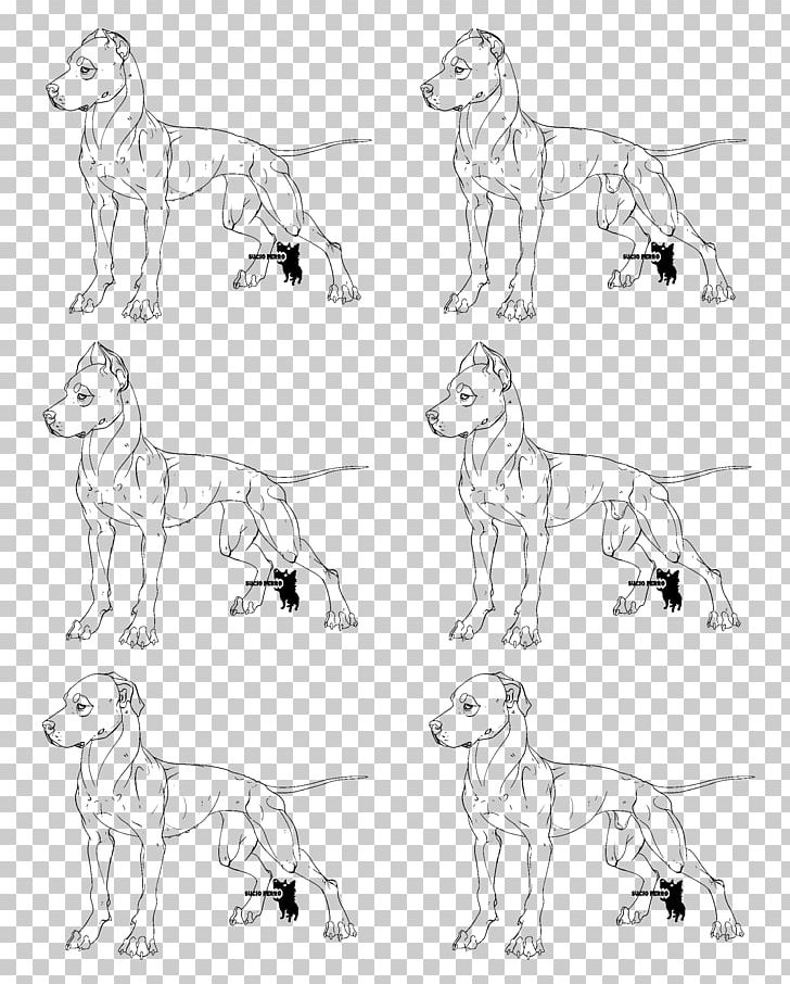 Dog Breed American Pit Bull Terrier Line Art Sketch PNG, Clipart, American Pit Bull Terrier, Arm, Art, Artwork, Black And White Free PNG Download