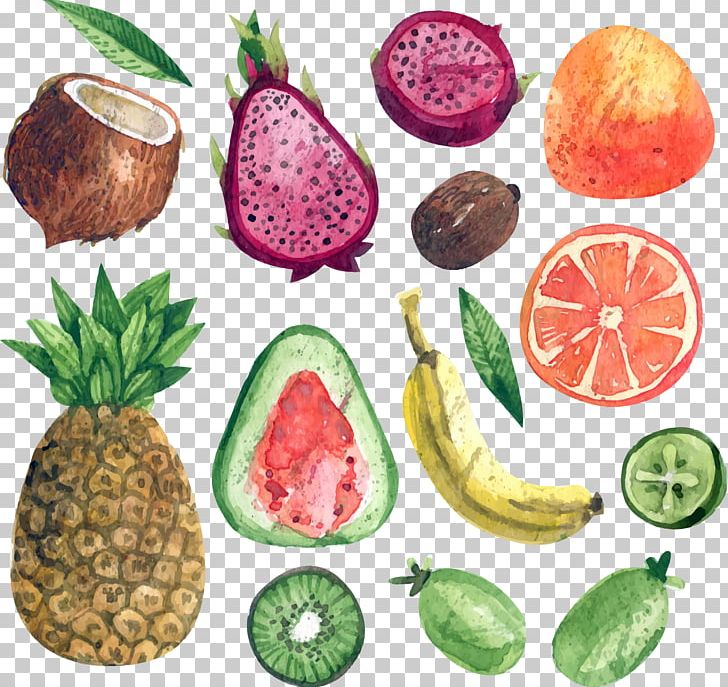 Pitaya Auglis Euclidean PNG, Clipart, Adobe Illustrator, Auglis, Banana, Coconut, Diet Food Free PNG Download