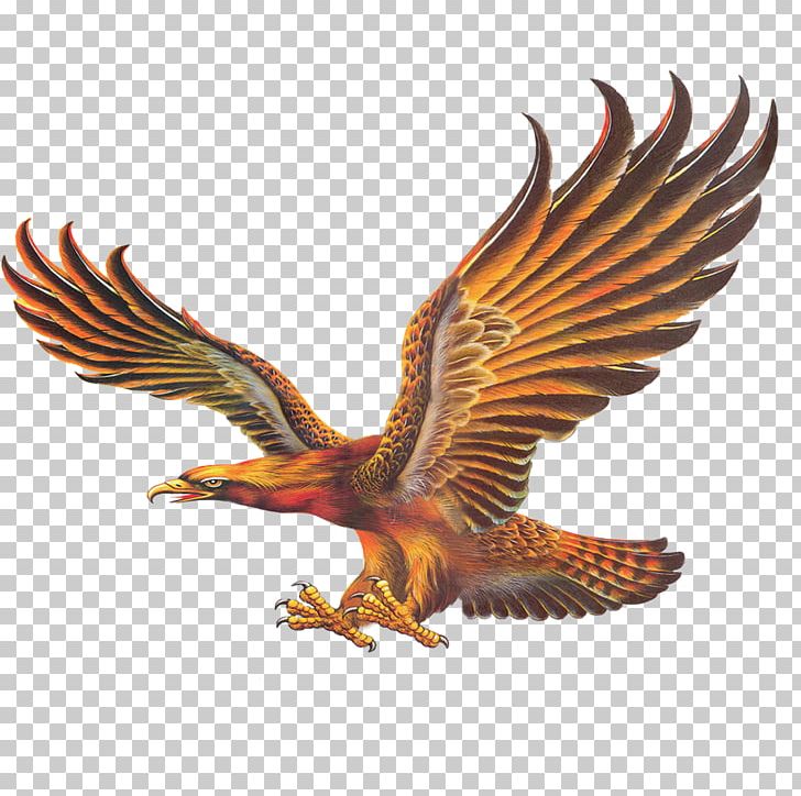 Chinese Painting Mural Eagle PNG, Clipart, Animal, Animals, Art, Bald Eagle, Beak Free PNG Download