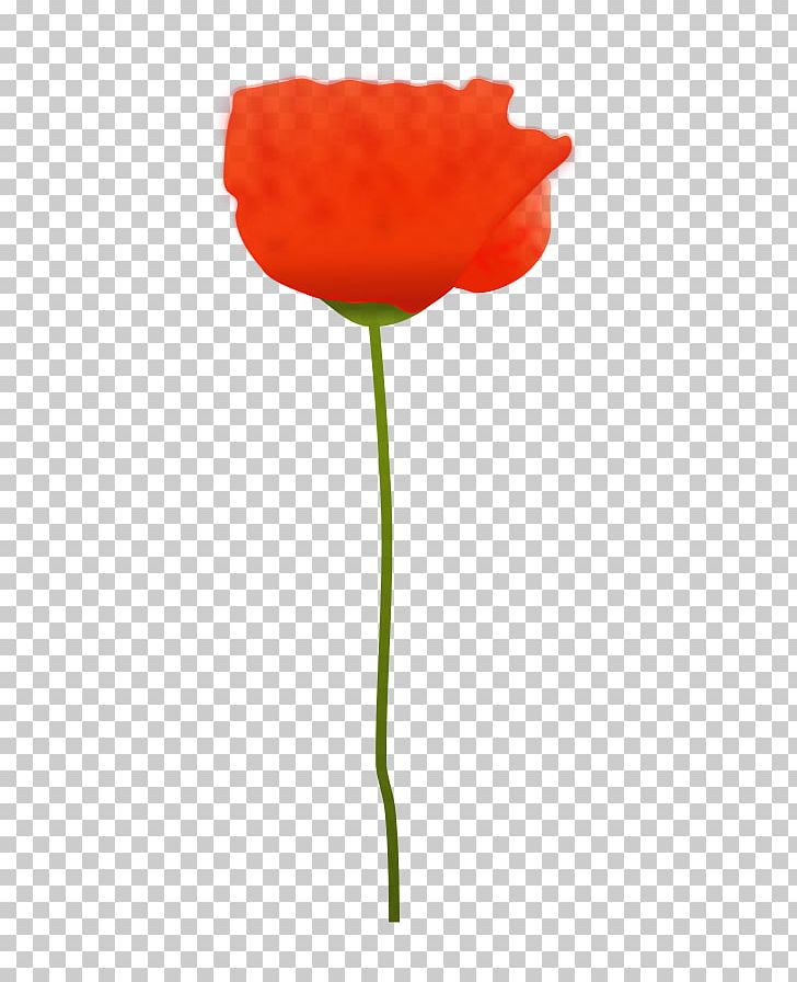 Common Poppy Remembrance Poppy PNG, Clipart, Armistice Day, California Poppy, Common Poppy, Coquelicot, Cut Flowers Free PNG Download