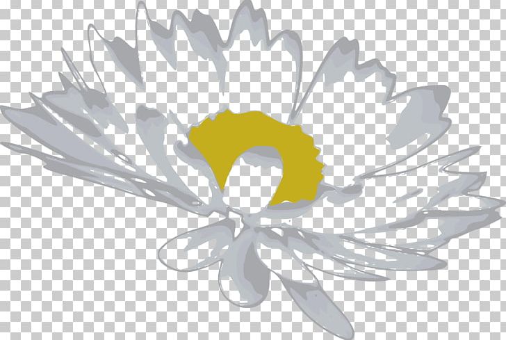 Cut Flowers Petal Common Daisy PNG, Clipart, Arumlily, Common Daisy, Cut Flowers, Daisy Daisy, Daisy Family Free PNG Download