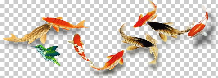 Goldfish PNG, Clipart, Advertising, Animals, Aquarium Fish, Computer Wallpaper, Deep Sea Fish Free PNG Download