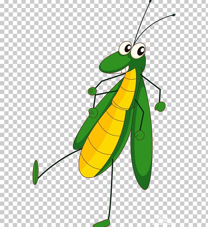 Insect Cartoon Grasshopper PNG, Clipart, Animals, Animation, Art, Arthropod, Artwork Free PNG Download