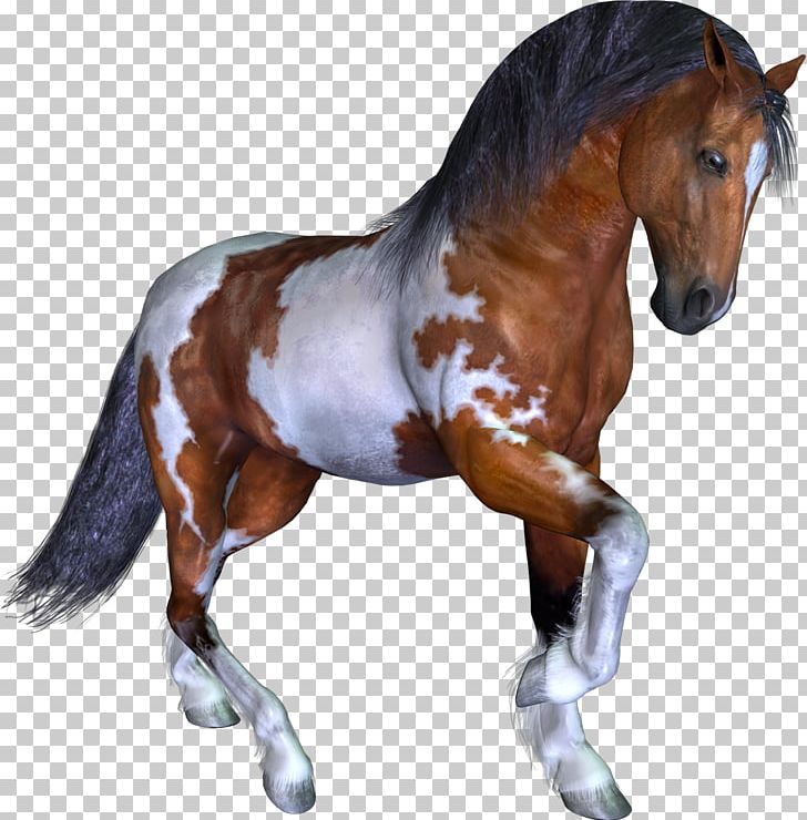 Mustang Stallion Mare Pony Wild Horse PNG, Clipart, Animal, Animal Figure, Bit, Bridle, Horse Free PNG Download