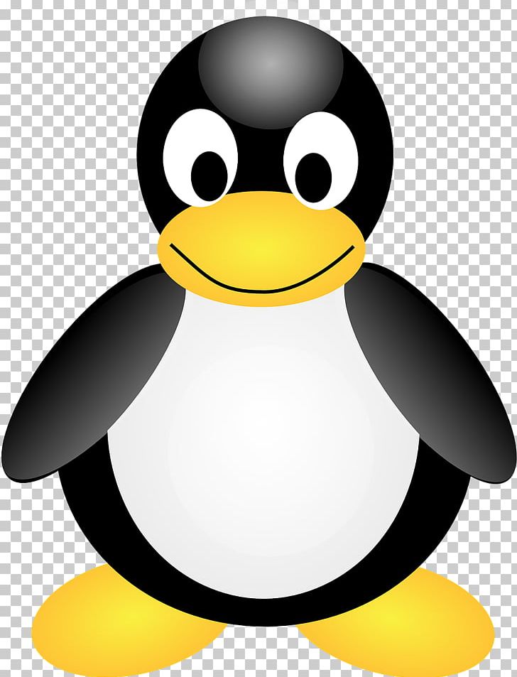Tux Penguin PNG, Clipart, Animals, Beak, Bird, Computer Software, Download Free PNG Download