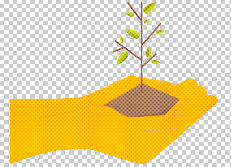 Leaf Angle Line Yellow M-tree PNG, Clipart, Angle, Biology, Leaf, Line, Meter Free PNG Download