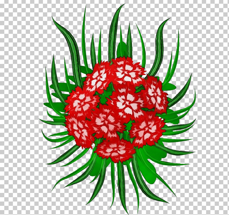 Floral Design PNG, Clipart, Carnation, Floral Design, Flower, Ornament, Paint Free PNG Download