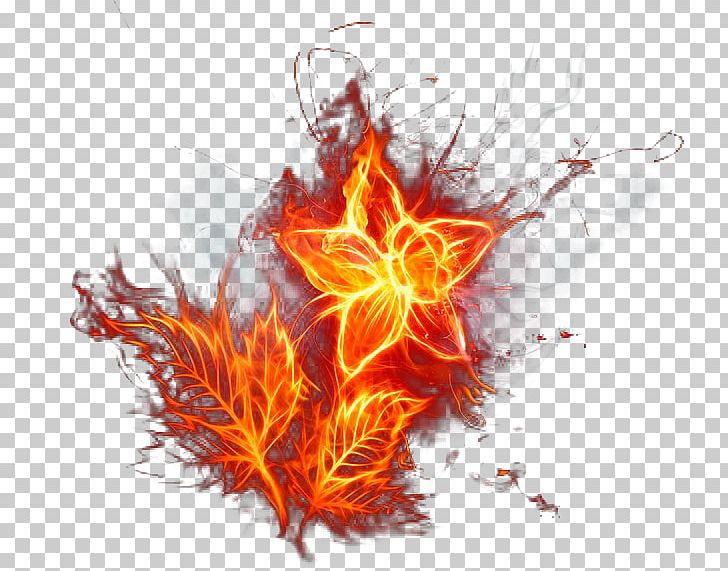 Flame Fire Light Flower PNG, Clipart, Colored Fire, Combustion, Computer Wallpaper, Cool Flame, Desktop Wallpaper Free PNG Download