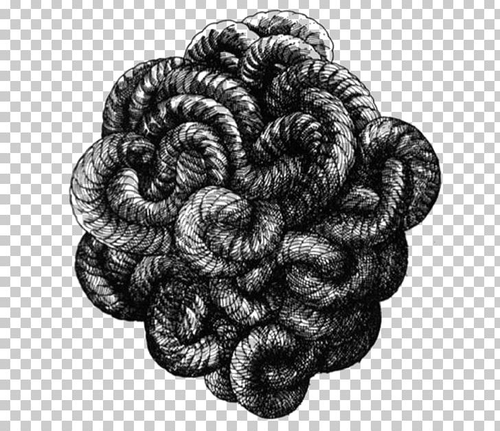 Gordian Knot Drawing Poetry PNG, Clipart, Art, Black And White, Celtic Knot, Drawing, Gordian Knot Free PNG Download