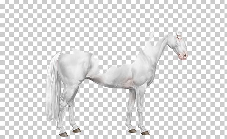 Mustang Stallion Pony American Paint Horse Mane PNG, Clipart, American Paint Horse, American Quarter Horse, Animal Figure, Appaloosa, Arabian Horse Free PNG Download