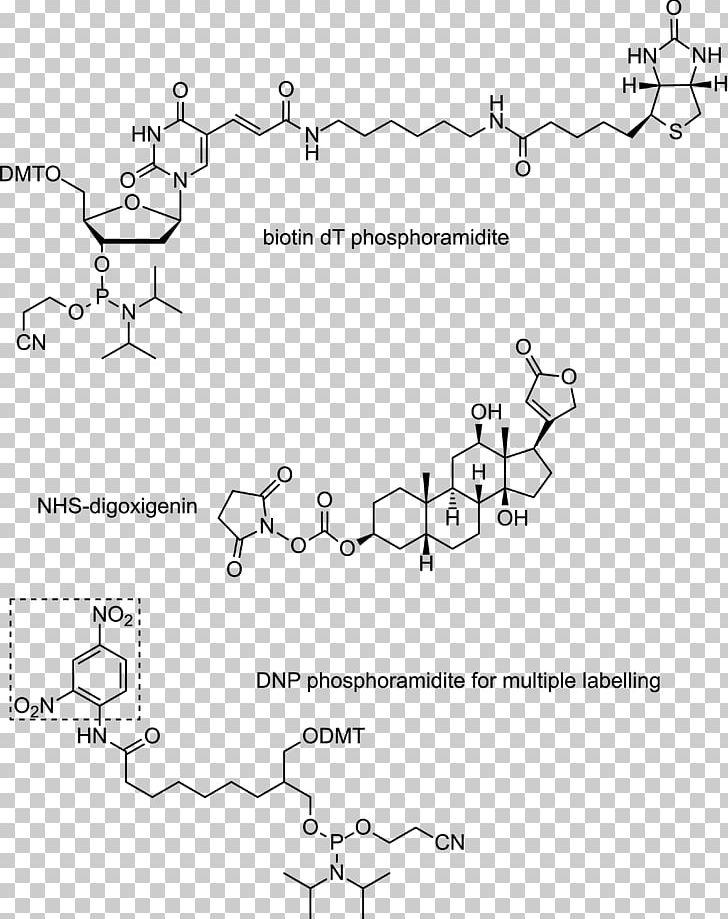 Oligonucleotide Digoxigenin DNA RNA Massive Parallel Sequencing PNG, Clipart, Angle, Area, Auto Part, Biotin, Biotinylation Free PNG Download