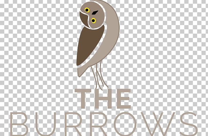 Owl Royal LePage Westwin Realty Amanda Mitchell Logo PNG, Clipart, Animals, Beak, Bird, Bird Of Prey, Brand Free PNG Download