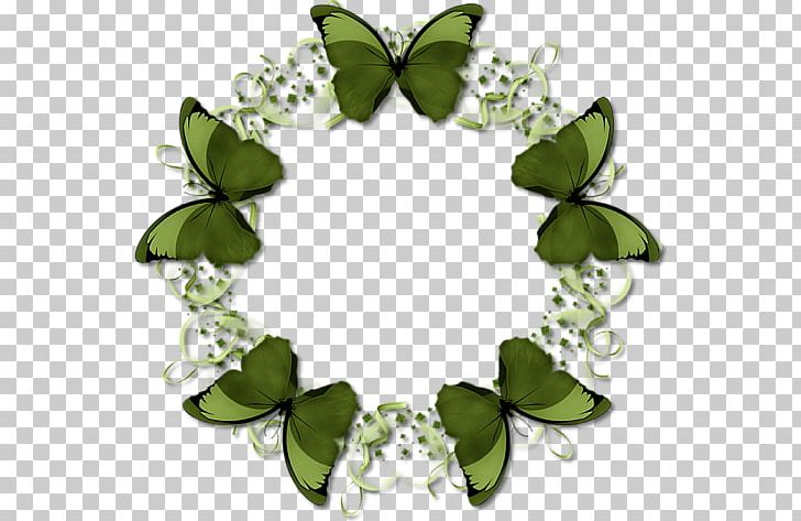 Writing Flower Dog Paddle Pattern PNG, Clipart, Butterflies, Butterfly, Decoration, Discusixf3n, Dog Paddle Free PNG Download