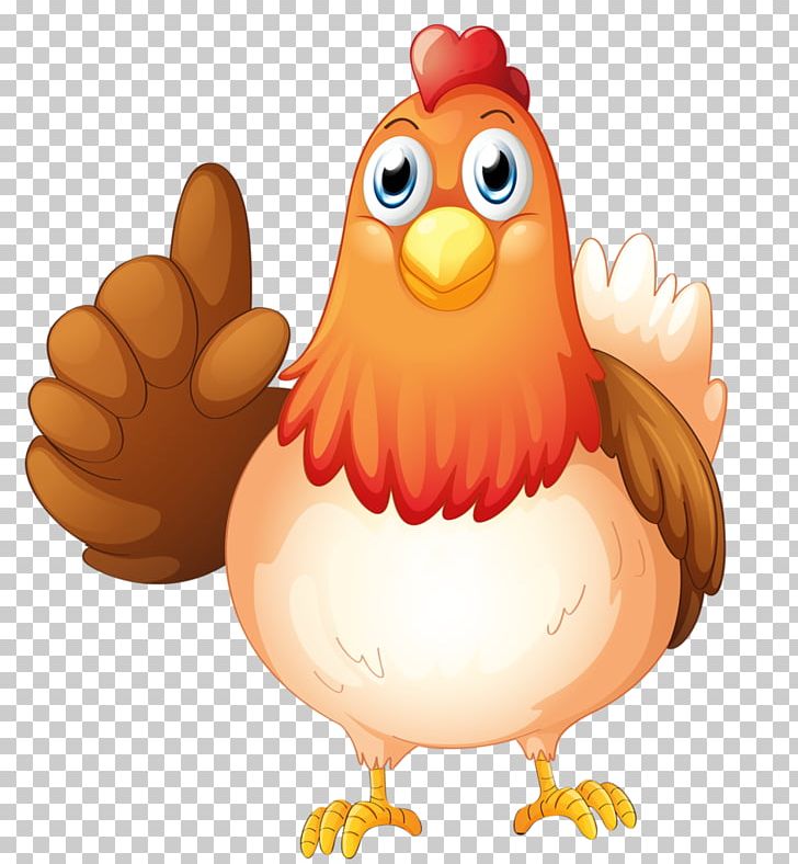 Chicken PNG, Clipart, Animals, Beak, Bird, Cartoon, Chicken Free PNG Download