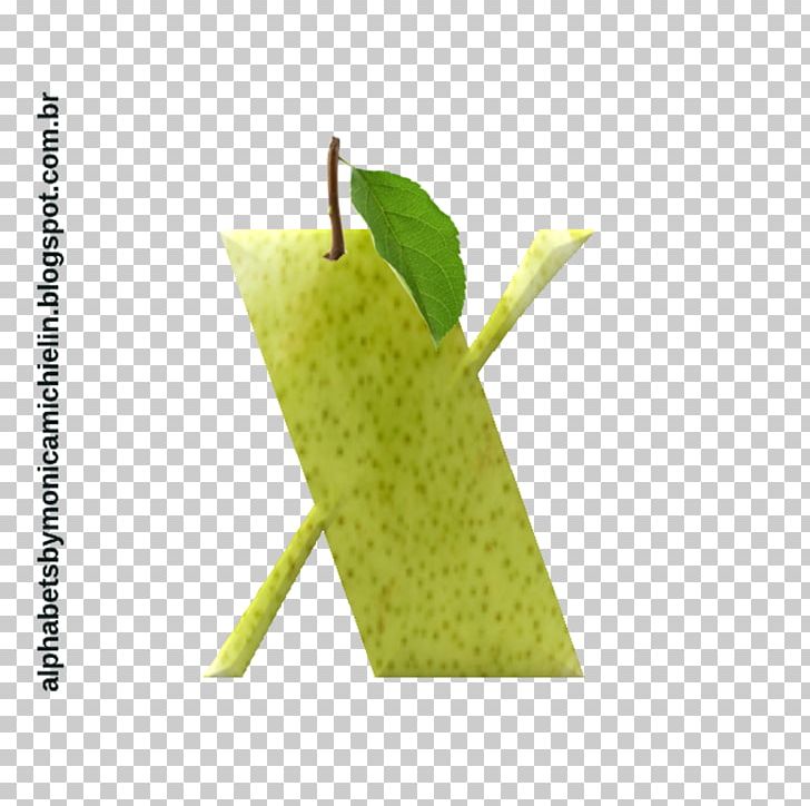 Fruit PNG, Clipart, Fruit, Pears Free PNG Download