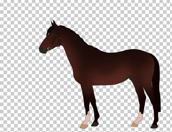 Horse Pony Equestrian PNG, Clipart, Animals, Black, Black And White, Bridle, Colt Free PNG Download