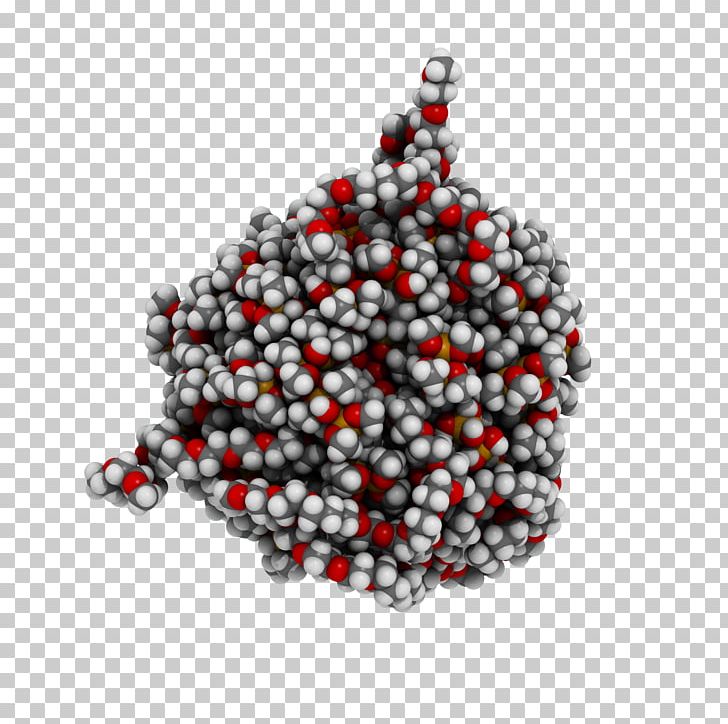 Christmas Ornament Christmas Day PNG, Clipart, Bead, Charles River Laboratories, Christmas Day, Christmas Ornament, Jewellery Free PNG Download