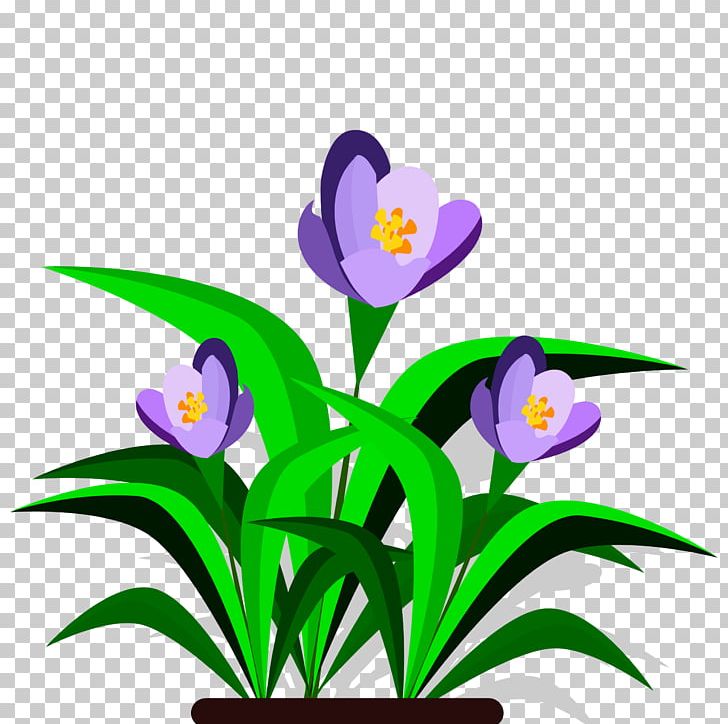 Cut Flowers Petal Plant Stem PNG, Clipart, Artwork, Competition, Computer Icons, Cut Flowers, Flora Free PNG Download