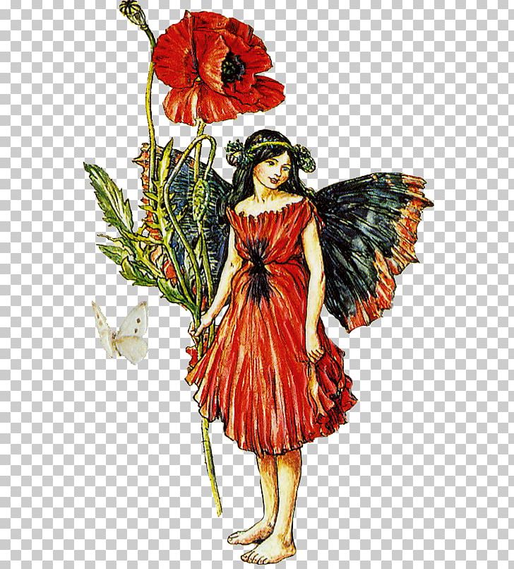 Fairy Flower Fairies Elf PNG, Clipart, Cicely Mary Barker, Costume, Costume Design, Cut Flowers, Elf Free PNG Download