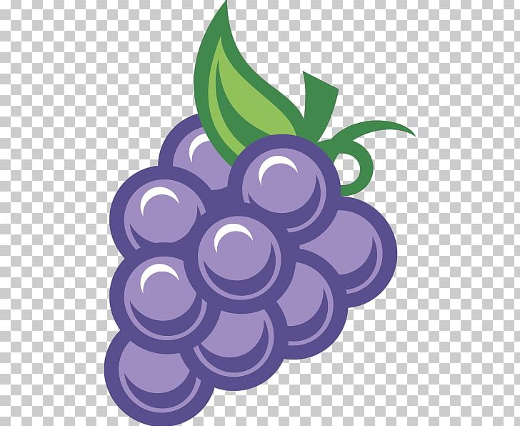 Grape PNG, Clipart, Bunch, Circle, Food, Fruit, Fruit Nut Free PNG Download