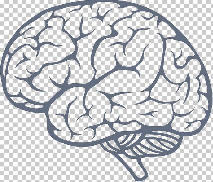 Human Brain Drawing Illustration PNG, Clipart, Area, Black And White, Brain, Drawing, Human Body Free PNG Download