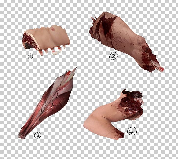 Pig's Ear PNG, Clipart,  Free PNG Download