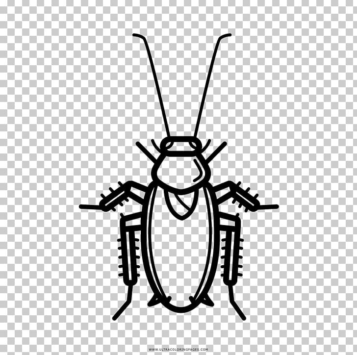 Cockroach Drawing Coloring Book Black And White PNG, Clipart, Angle, Animals, Area, Artwork, Ausmalbild Free PNG Download