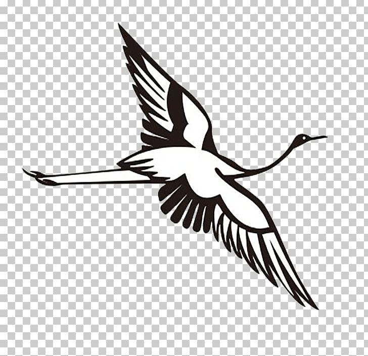 Red-crowned Crane PNG, Clipart, Attitude, Beak, Bird, Black And White, Cartoon Free PNG Download