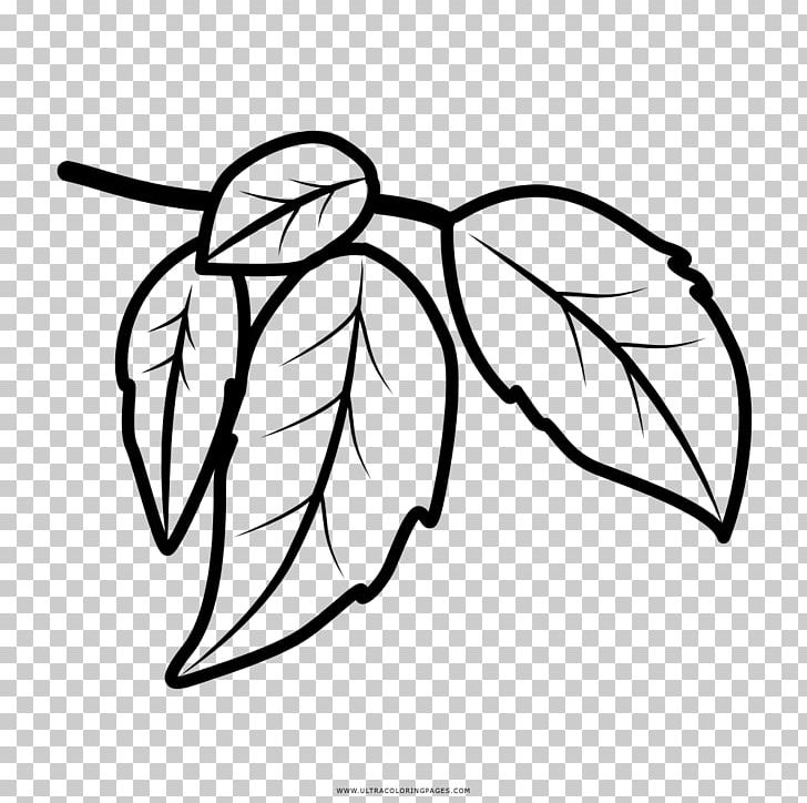Coloring Book Drawing Leaf Tree PNG, Clipart, Angle, Area, Artwork, Beak, Birch Free PNG Download